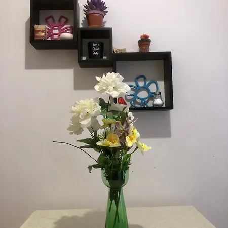 Central City Skadarlija Apartment *